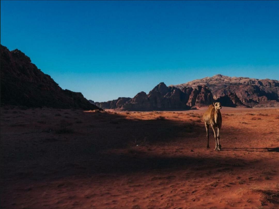 Wadi Rum Moon Camp Dış mekan fotoğraf
